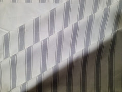 Grey Stripe