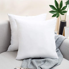 Filled Cushion-Pack Of 2 (18x18 Inch)